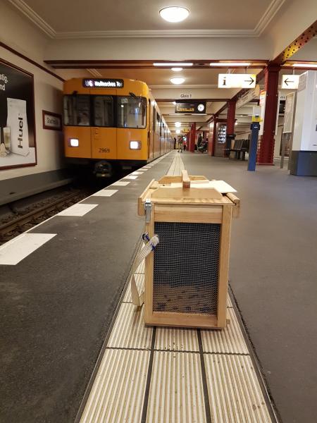 Fahr mal wieder U-Bahn....allerdings nicht Linie 1