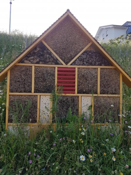 Wildbienenhotel am Kurhaus in Scheidegg
