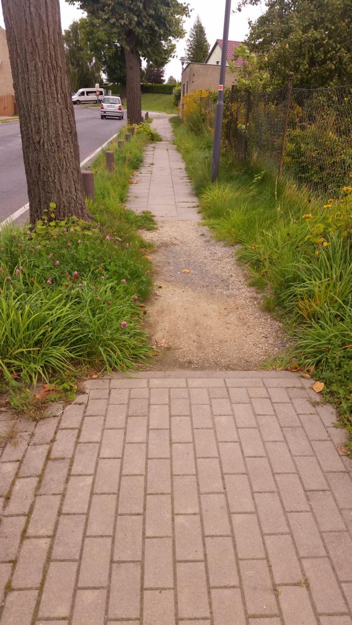 Geht ja gar nicht: blühende Seitenstreifen - Bild: Melanie von Orlow